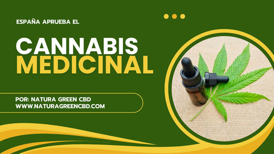 España aprueba el Cannabis Medicinal