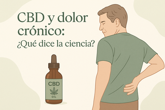 CBD y dolor crónico: todo lo que debes saber según la ciencia más reciente