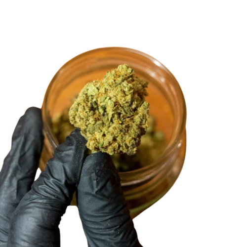 3 gr. av CBD