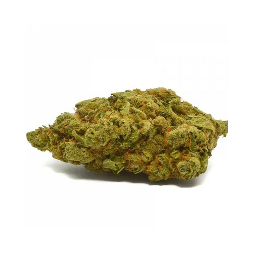 Moby Dick CBD Indoor