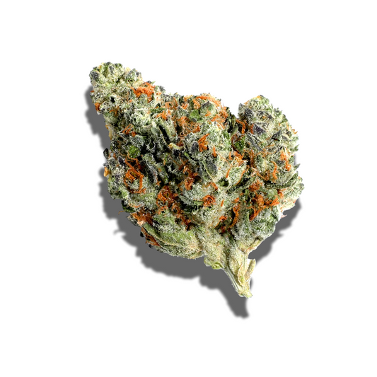 Jelly Saphir Hydro CBD