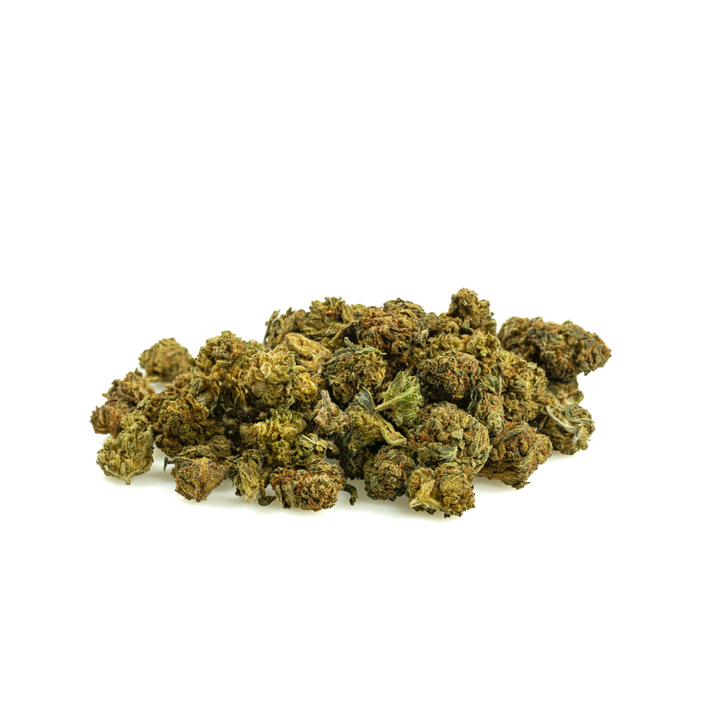 Mini Buds Oransje
